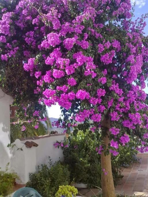 La Villa, Alojamiento Rural Iznajar Exterior photo